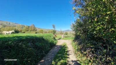 Rustic farm in Molledo photo 4