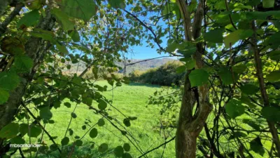 Rustic farm in Molledo photo 6