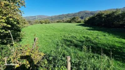 Rustic farm in Molledo photo 7