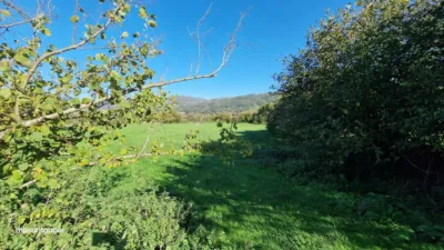 Rustic farm in Molledo photo 9