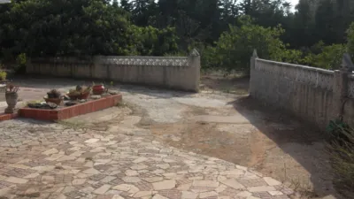 Rustic Finca in La Muela photo 19