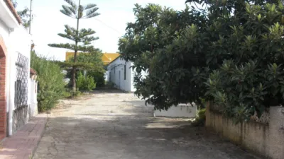 Rustic Finca in La Muela photo 23