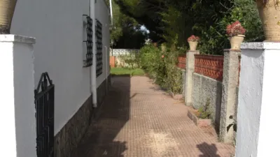 Rustic Finca in La Muela photo 24