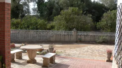 Rustic Finca in La Muela photo 3