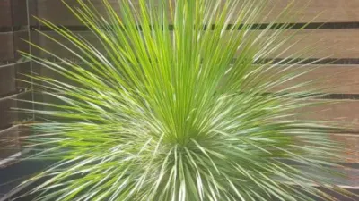 Chalet en venta en Avenida de Castalia, Grao (Castelló de la Plana) de 1.535.000 €