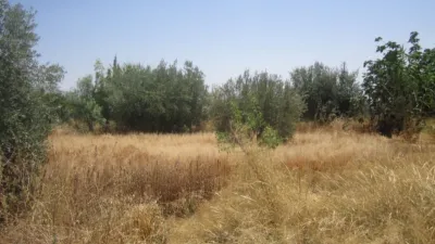 Chalet en Urcal photo 17