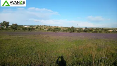 Finca rústica en venta en Barriadas - San Andrés - Cantaranas, Reina Sofía-Salesianos-Bodegones (Mérida) de 50.000 €