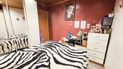Apartment in Can Mas photo 8