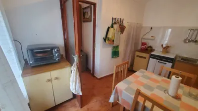 Miniatura 8