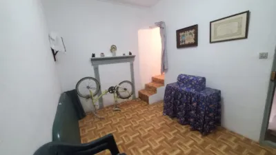 Miniatura 12