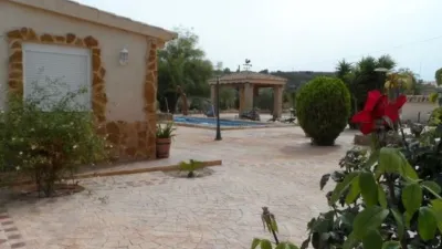 Finca rústica en Elche-Elx photo 3