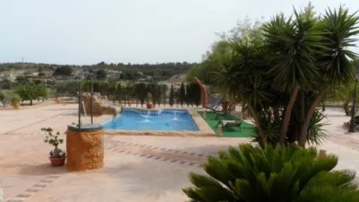 Finca rústica en Elche-Elx photo 5