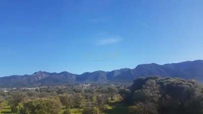 Rustic Finca on Camino Viejo photo 3