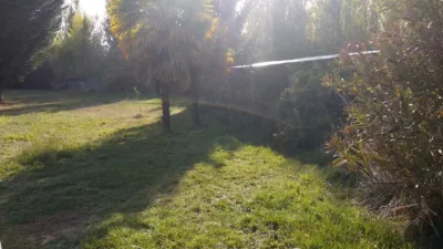 Rustic farm in Husillos photo 4