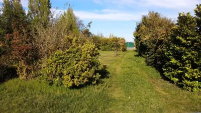 Rustic farm in Husillos photo 6