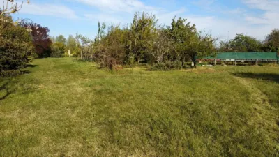 Rustic farm in Husillos photo 7