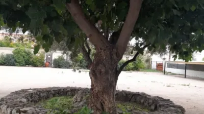 Finca rústica en venta en Carretera Jaén, Vereda-Santa Teresa-Pedro Lamata-San Pedro Mortero (Albacete Capital) de 350.000 €