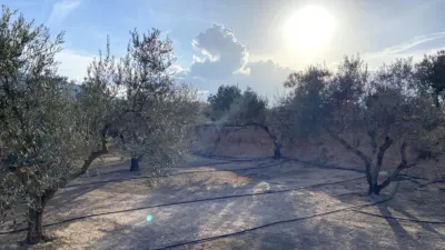 Terreno en venta en Calle Bonaire - Vista 2