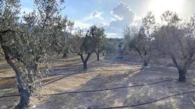 Terreno en venta en Calle Bonaire - Vista 3