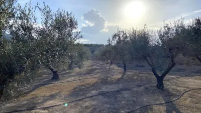 Terreno en venta en Calle Bonaire - Vista 5