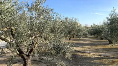 Terreno en venta en Calle Bonaire - Más