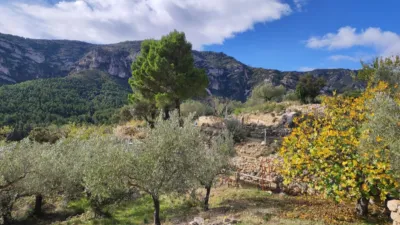 Rustic farm in Pasaje Partida Valldebous photo 2