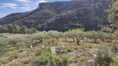 Rustic farm in Pasaje Partida Valldebous photo 3