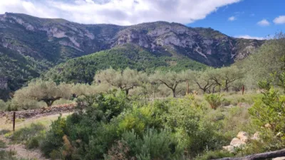 Rustic farm in Pasaje Partida Valldebous photo 4