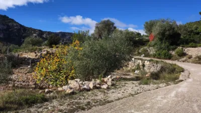 Rustic farm in Pasaje Partida Valldebous photo 5