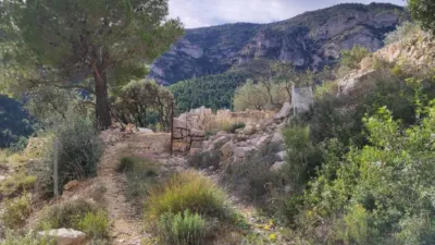 Rustic farm in Pasaje Partida Valldebous photo 7