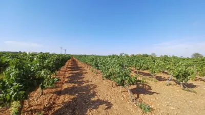 Finca rústica en venta en Roda (La), La Roda de 220.000 €
