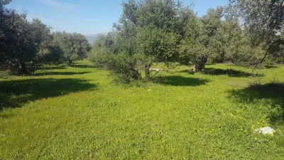 Rustic Finca in Alhaurín de La Torre photo 10