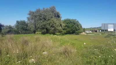 Rustic Finca in Alhaurín de La Torre photo 4