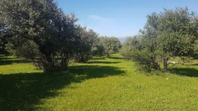 Rustic Finca in Alhaurín de La Torre photo 5
