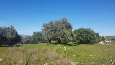 Rustic Finca in Alhaurín de La Torre photo 9