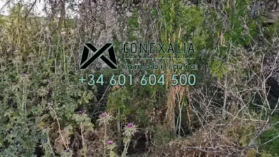 Rustic finca in Setenil photo 5