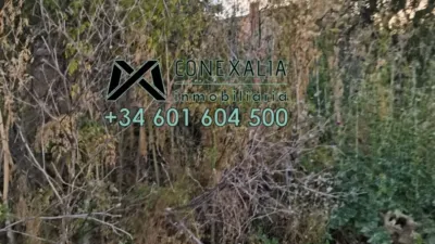Rustic finca in Setenil photo 6