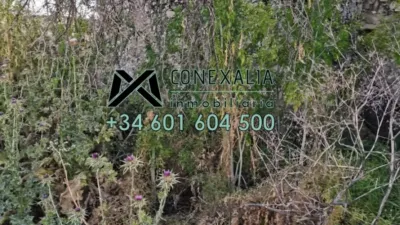 Rustic finca in Setenil photo 8