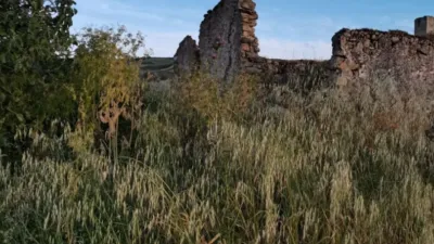 Rustic finca in Setenil photo 9
