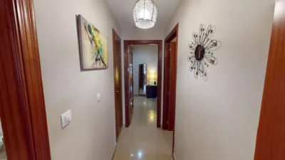 Apartment in Centro Area photo 25