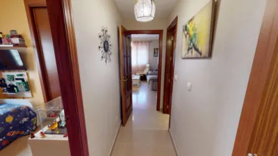 Apartment in Centro Area photo 26