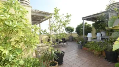 Penthouse on Avinguda de Gabriel Roca photo 13