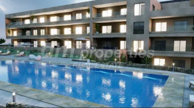 Apartamento en La Tejita photo 16