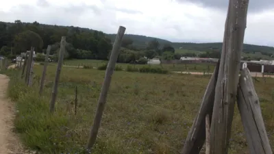 Rustic Finca in Paternilla photo 10
