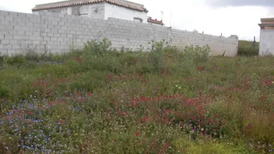 Rustic Finca in Paternilla photo 16