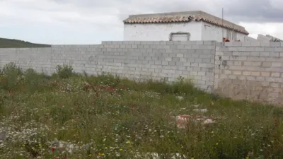 Rustic Finca in Paternilla photo 18