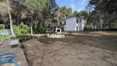 Chalet en Urbanización Pinares del Júcar photo 33