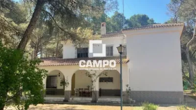 Chalet in Urbanización Pinares del Júcar photo 4