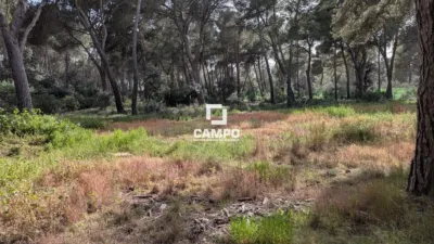 Chalet en Urbanización Pinares del Júcar photo 54