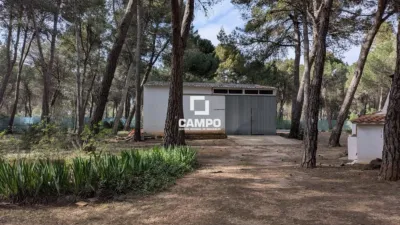 Chalet en Urbanización Pinares del Júcar photo 56
